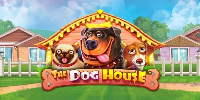 Tips Jitu Menang Cepat di Slot The Dog House